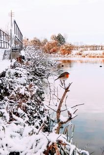 Swipe To View More Images